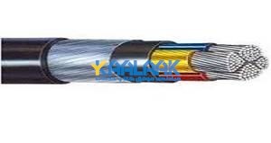 کابل قدرت آلومینیوم ارمودار دو لایه NA2XBY